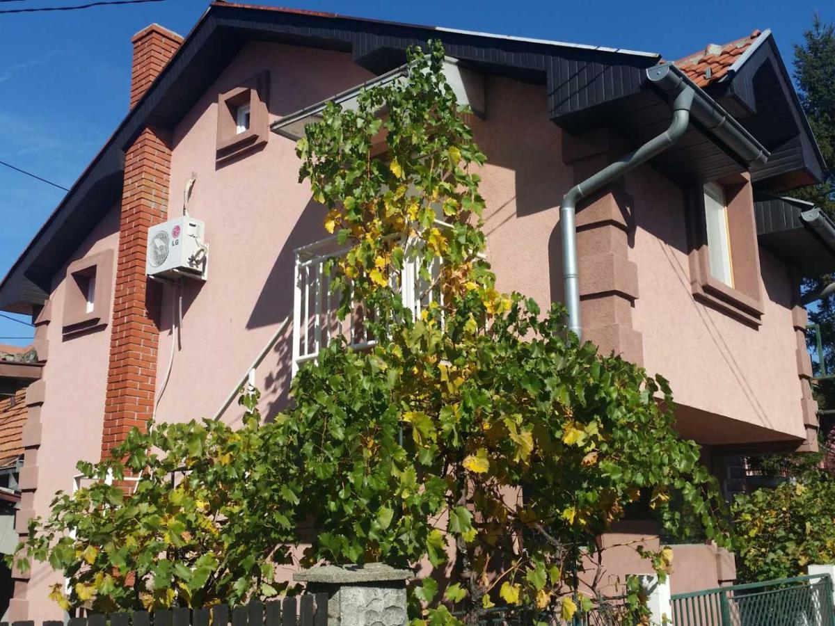 Sweet Apartment Zajecar Exterior photo